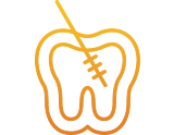 Endodontia